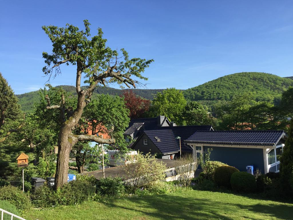Ferienhaus Goethestrasse Bad Harzburg Eksteriør bilde
